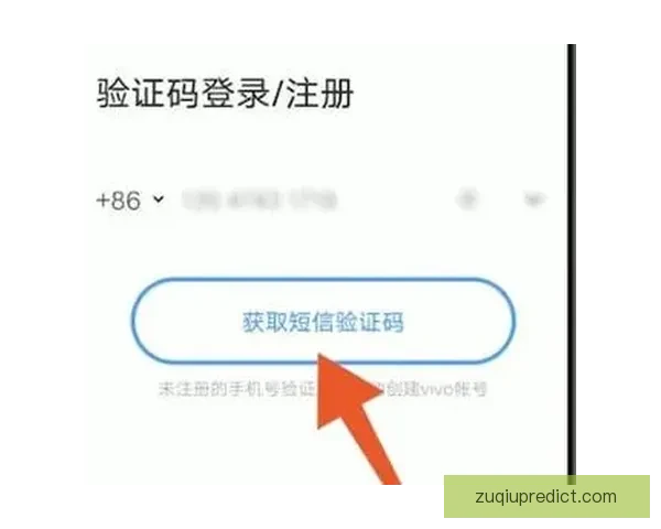 开云账户无法正常登录的原因及解决方法详解